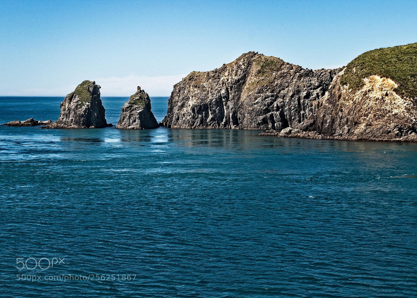 Nikon D5300 sample photo. Ferry to picton, new photography