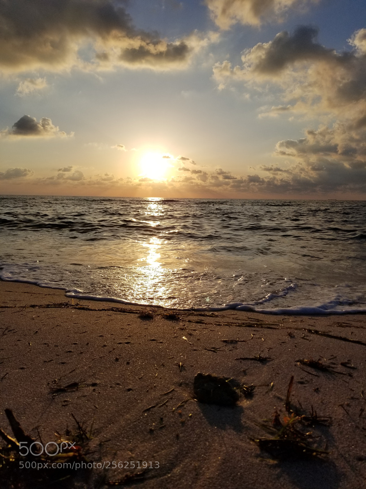 Samsung Galaxy S8+ sample photo. Untitled photography