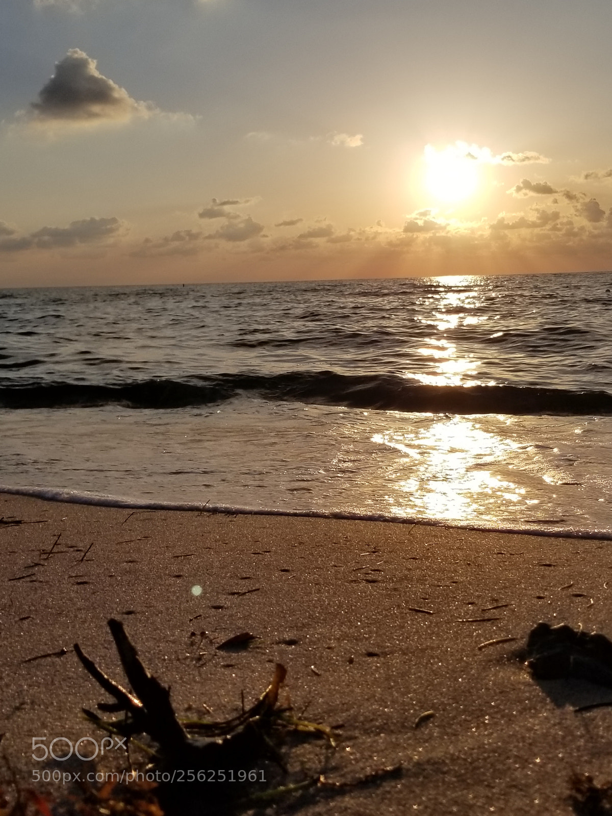 Samsung Galaxy S8+ sample photo. Untitled photography
