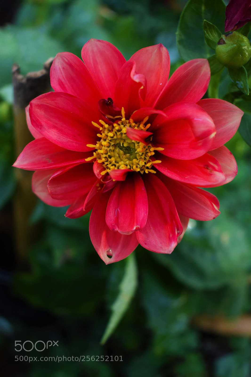 Nikon D3400 sample photo. Untitled photography
