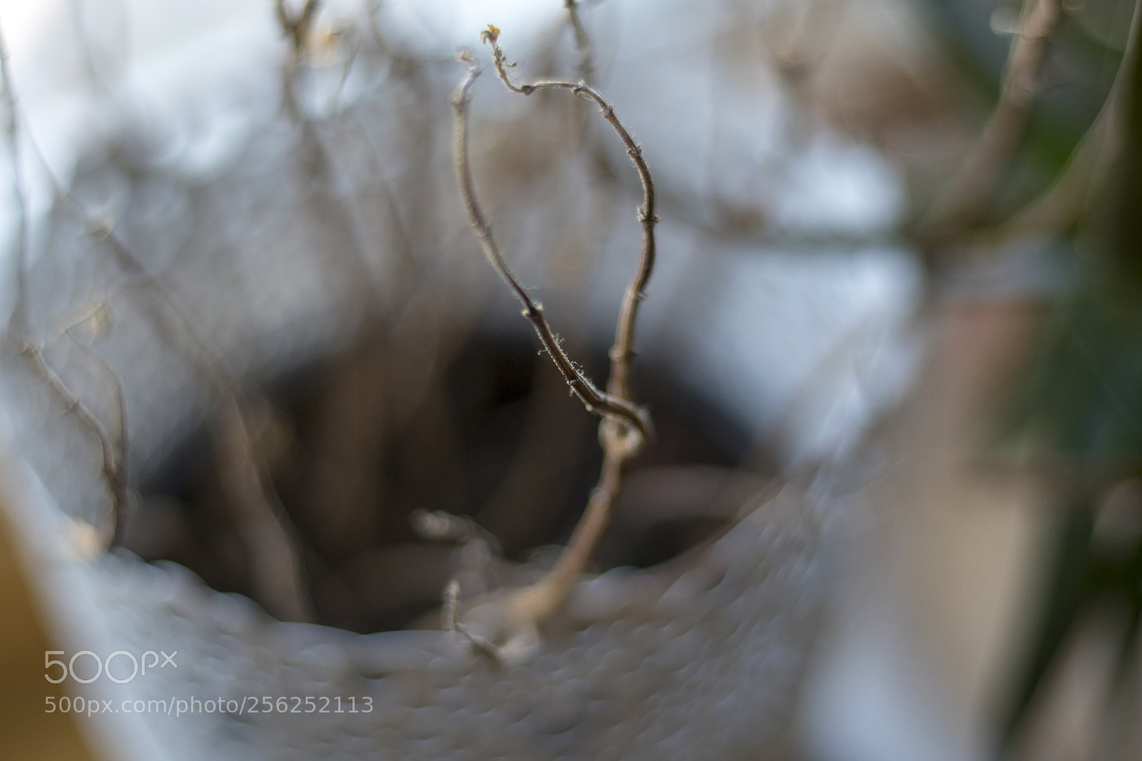 Sony a6300 sample photo. Dsc photography