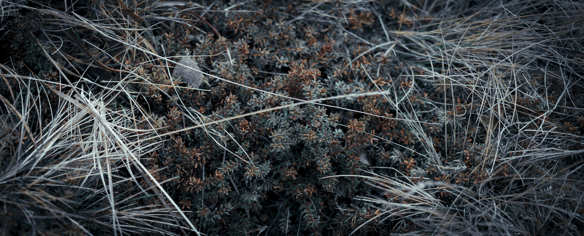 Hasselblad X1D-50c sample photo. Iceland x desolate photography
