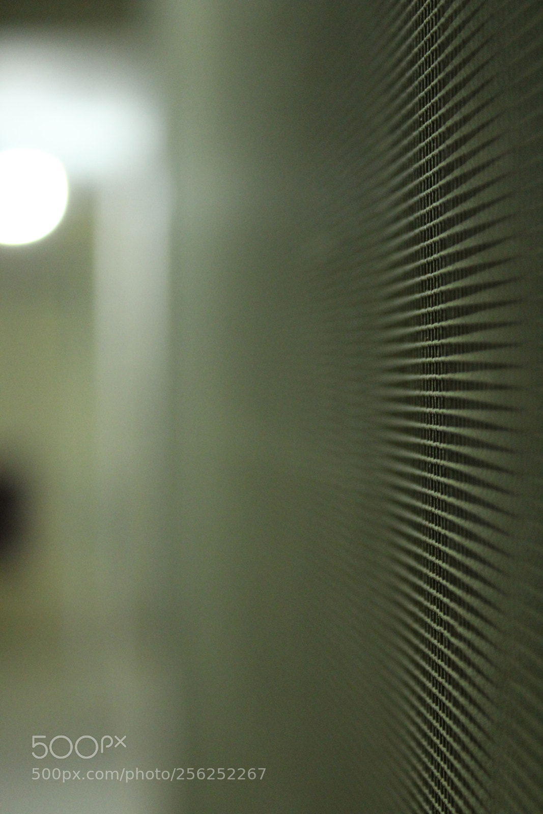 Canon EOS 1300D (EOS Rebel T6 / EOS Kiss X80) sample photo. Just towards the edge! photography