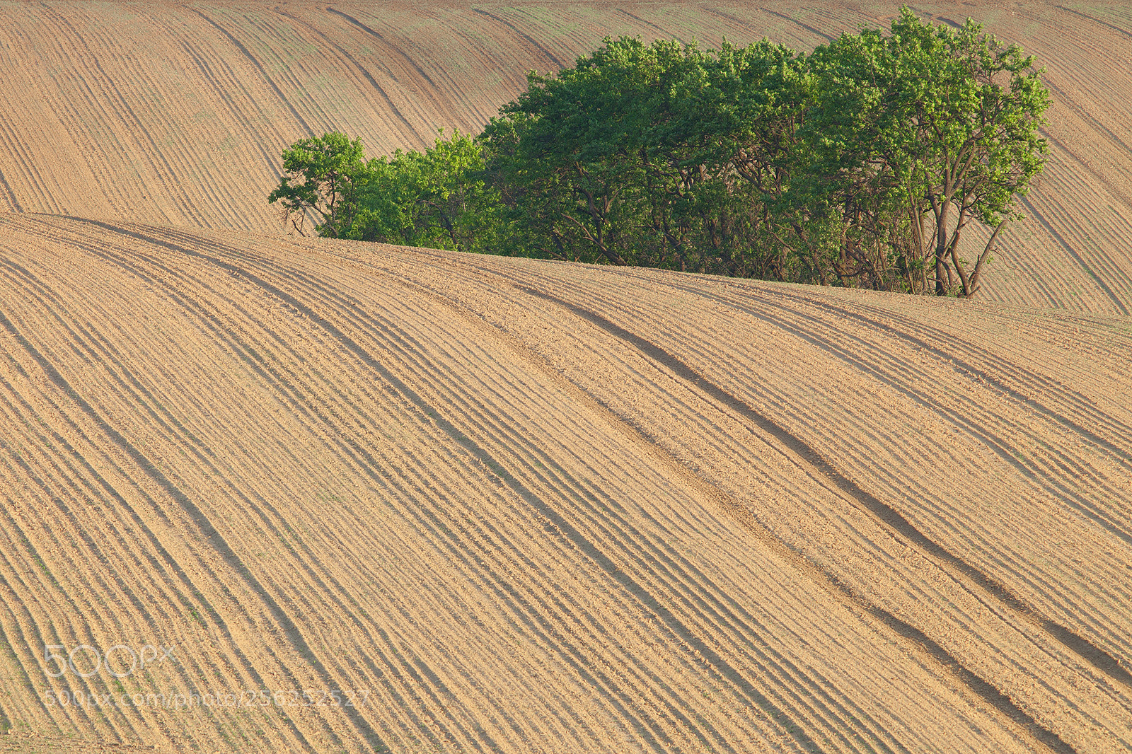 Canon EOS 5D Mark II sample photo. The island of life photography