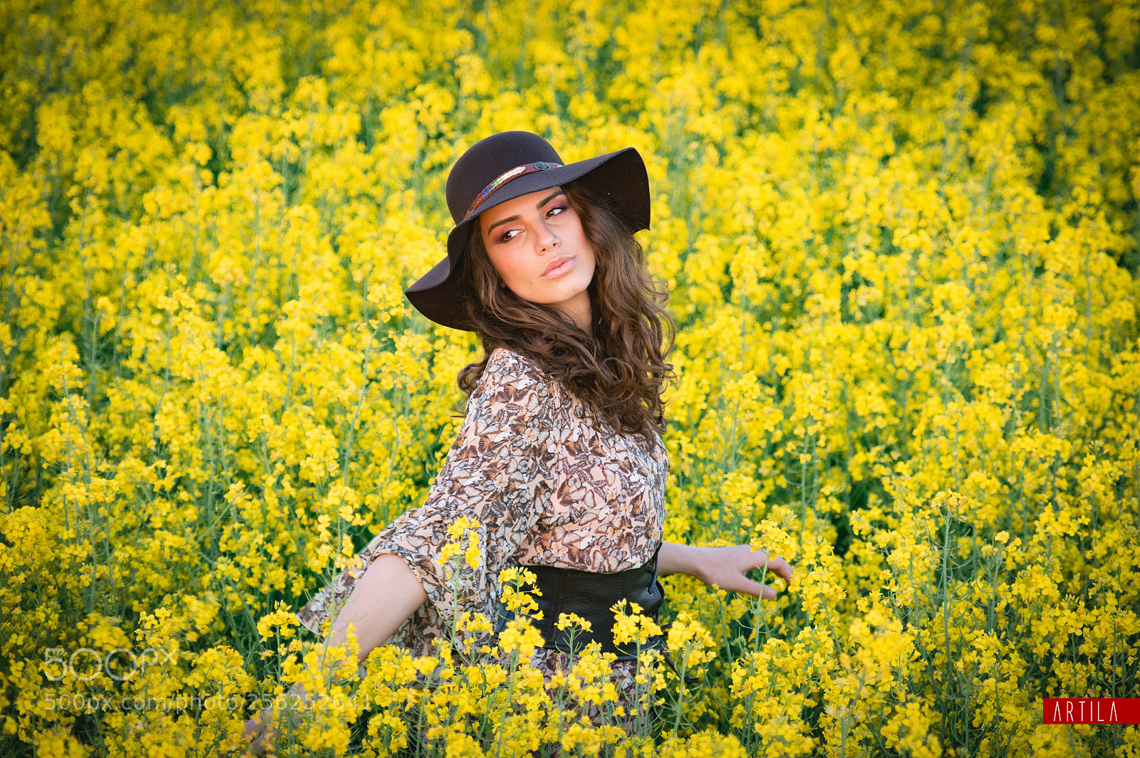 Nikon D4 sample photo. Blanka photography