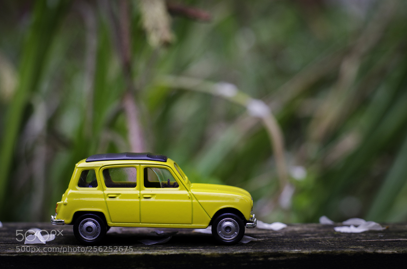 Nikon D7000 sample photo. 4l photography