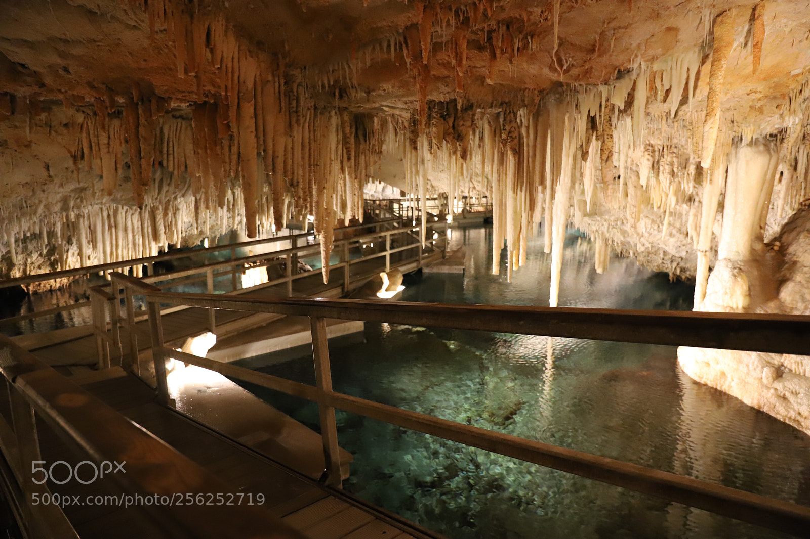Canon EOS 6D Mark II sample photo. Millions of years in photography
