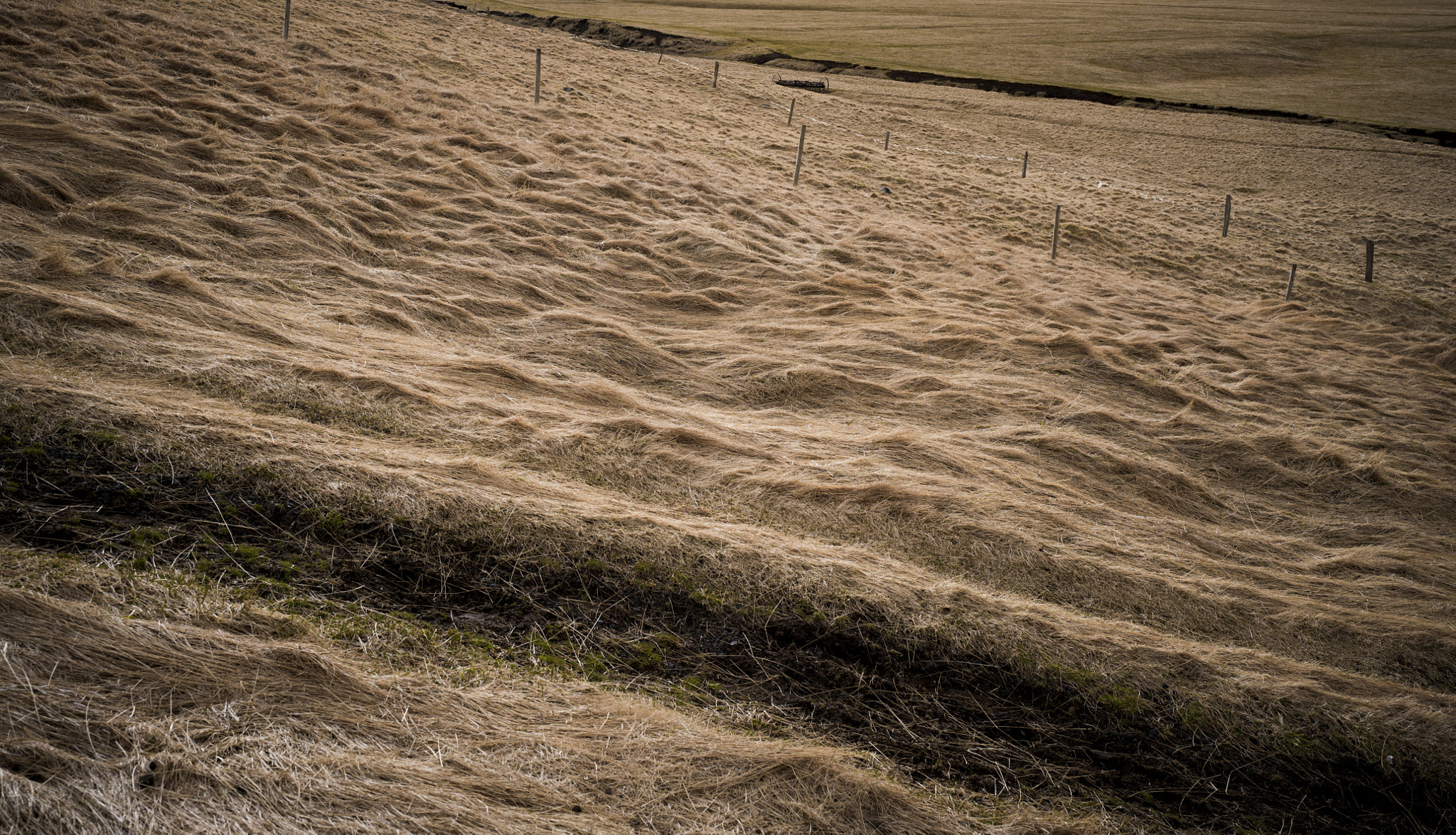 Hasselblad X1D-50c sample photo. Iceland x desolate photography