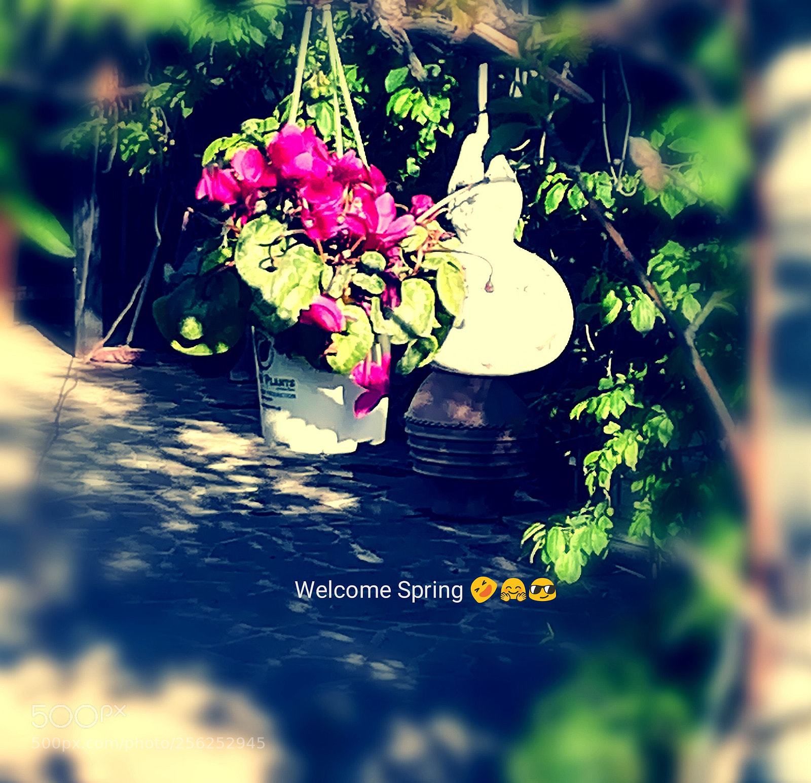 HUAWEI P10 lite sample photo. Spring... in our souls... photography