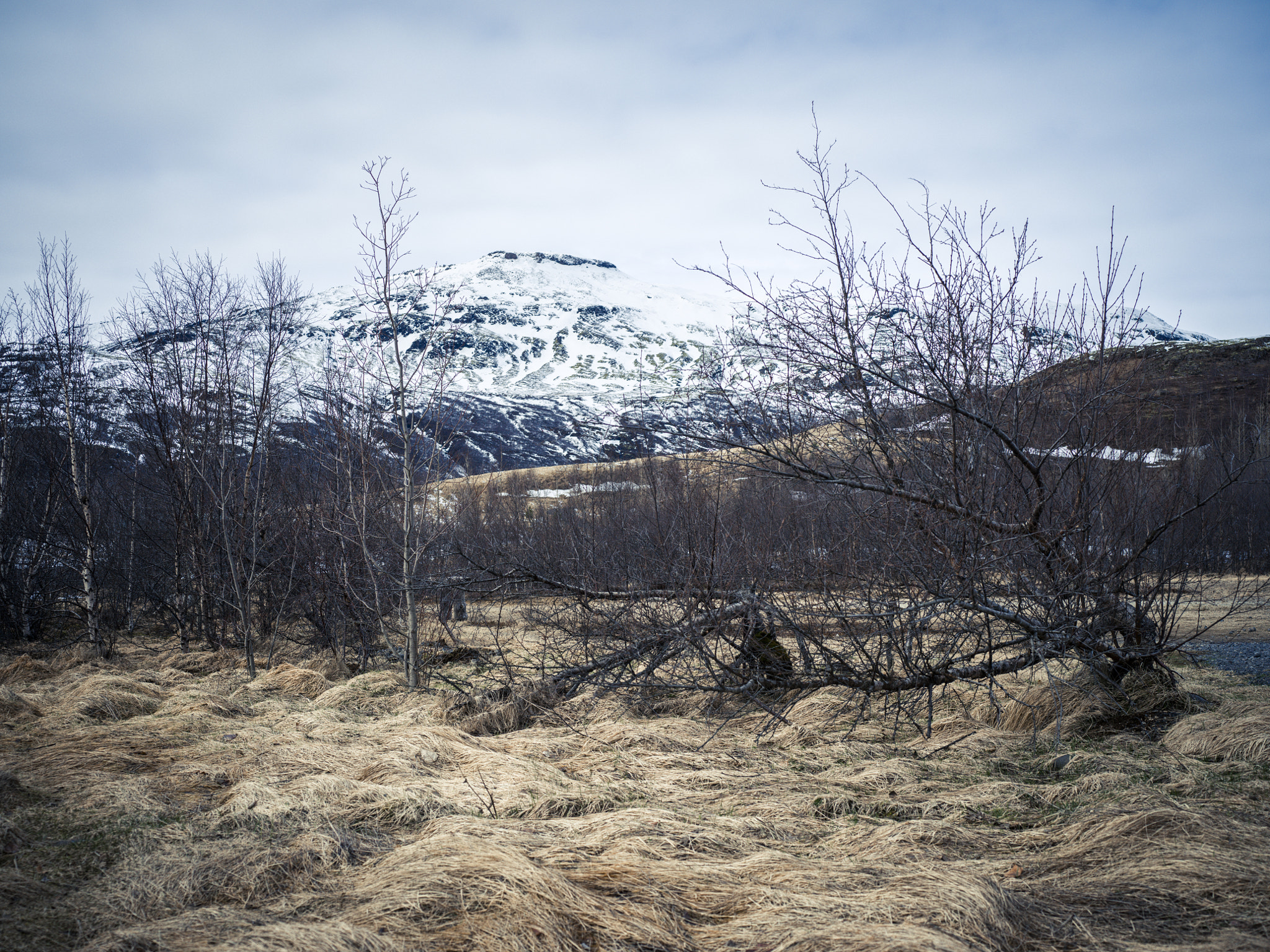 Hasselblad X1D-50c sample photo. Iceland x desolate photography