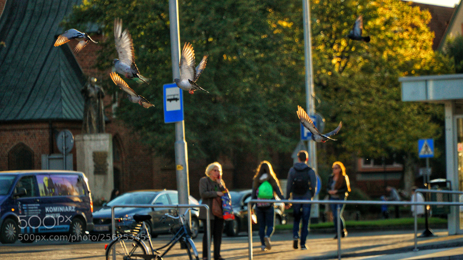 Sony a6000 sample photo. In flight photography
