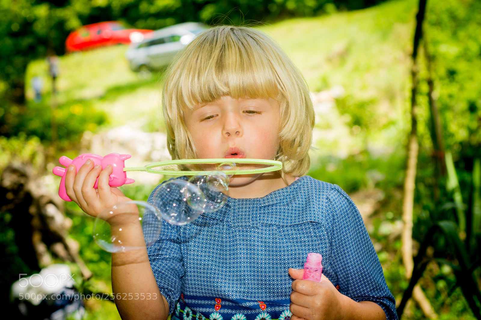 Nikon D7200 sample photo. 22-2.jpg photography