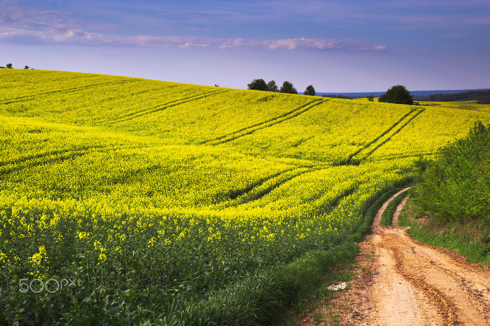 Canon EF-S 17-55mm F2.8 IS USM sample photo. Spring on the fields #2 photography