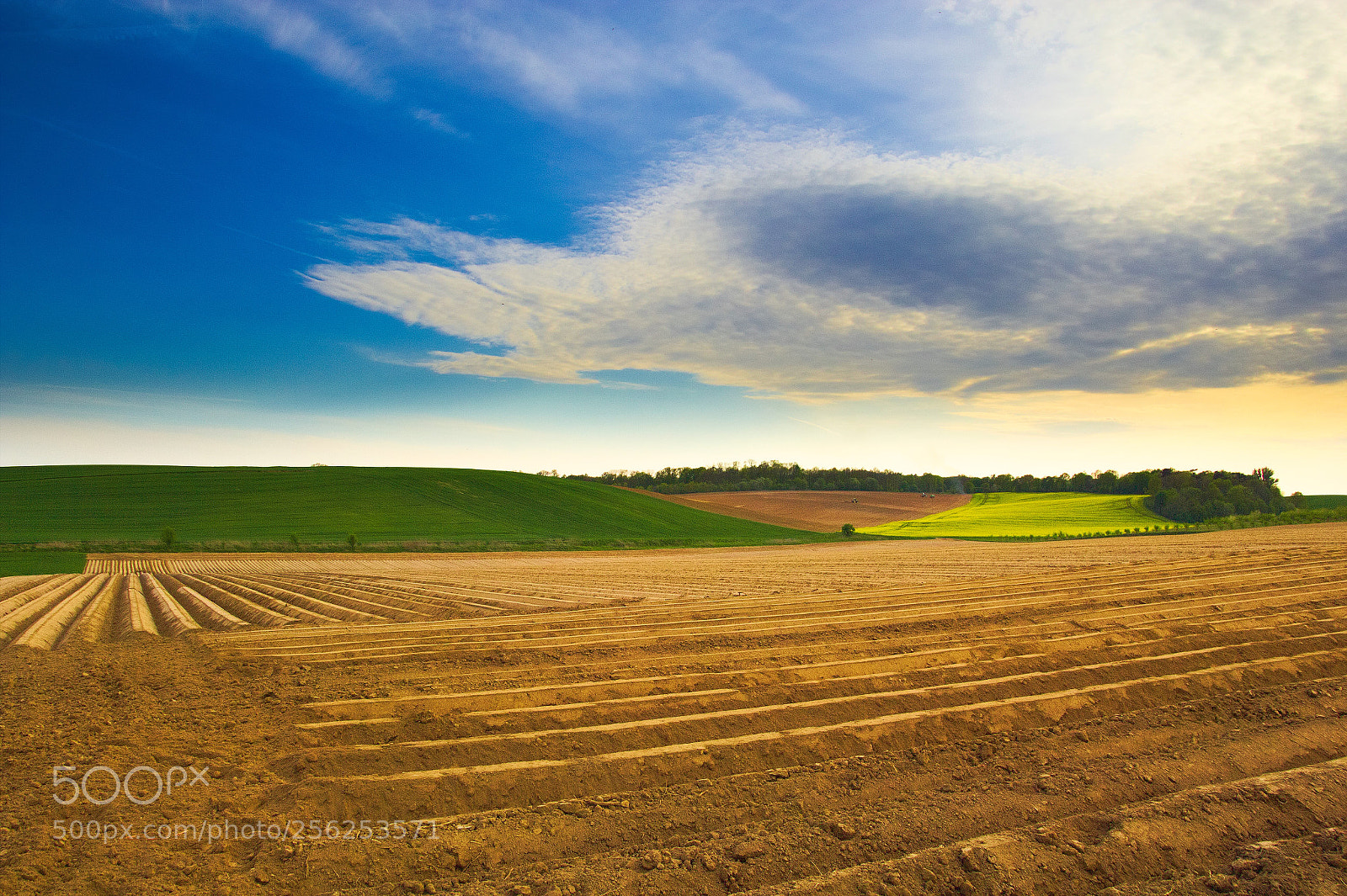 Canon EOS 60D sample photo. Spring on the fields #3 photography