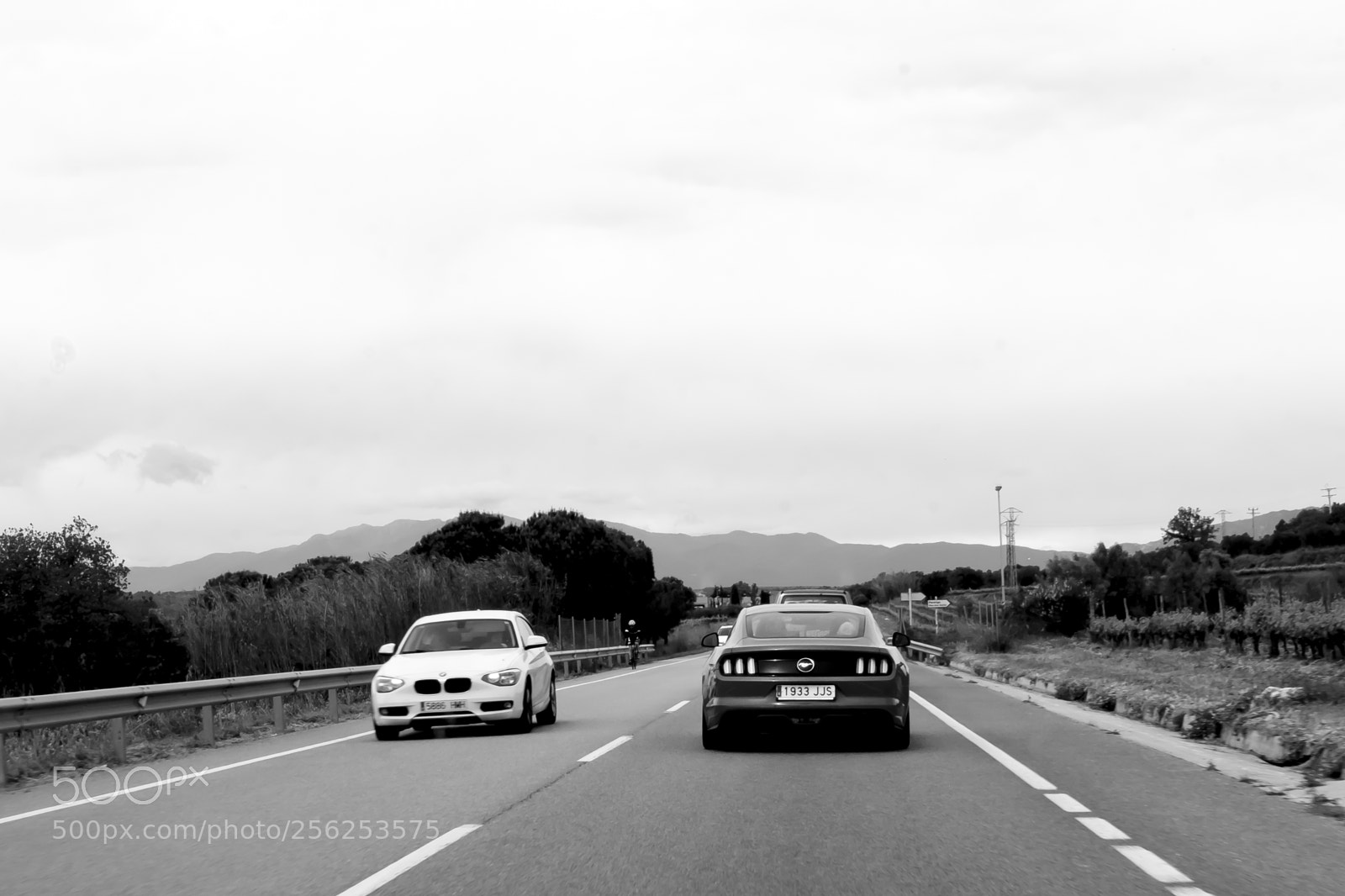 Fujifilm X-T10 sample photo. Untitled photography