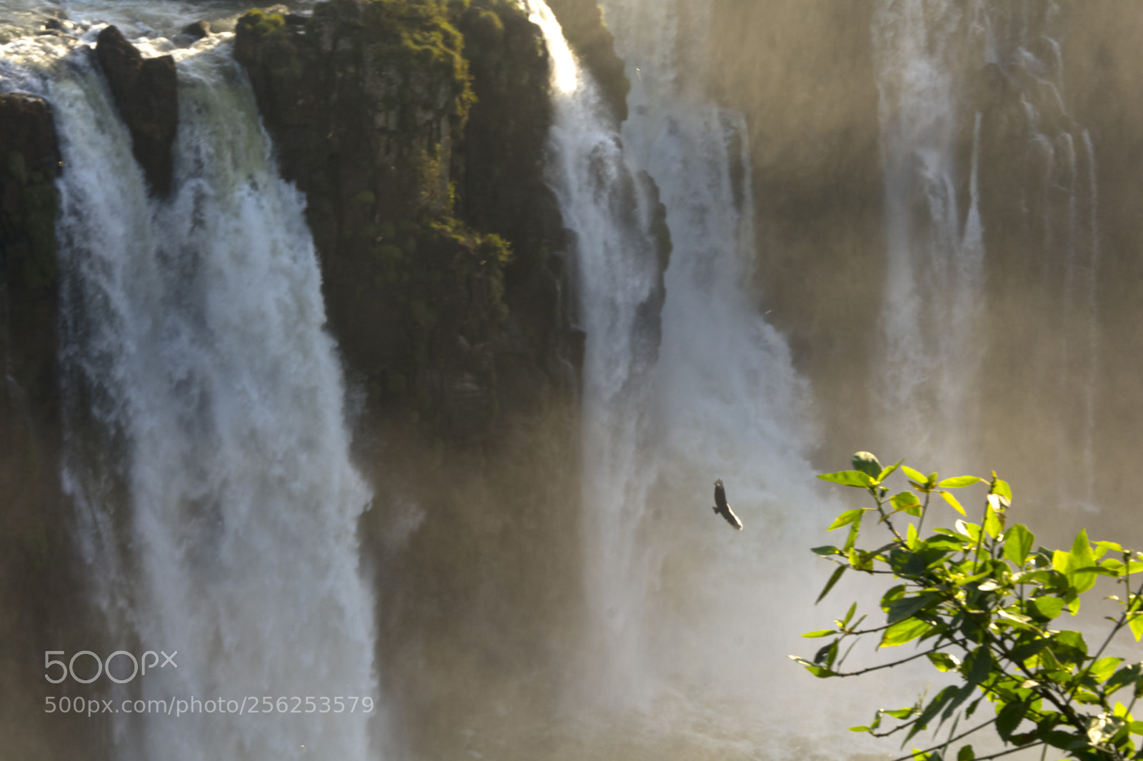 Nikon D7100 sample photo. Cataratas photography