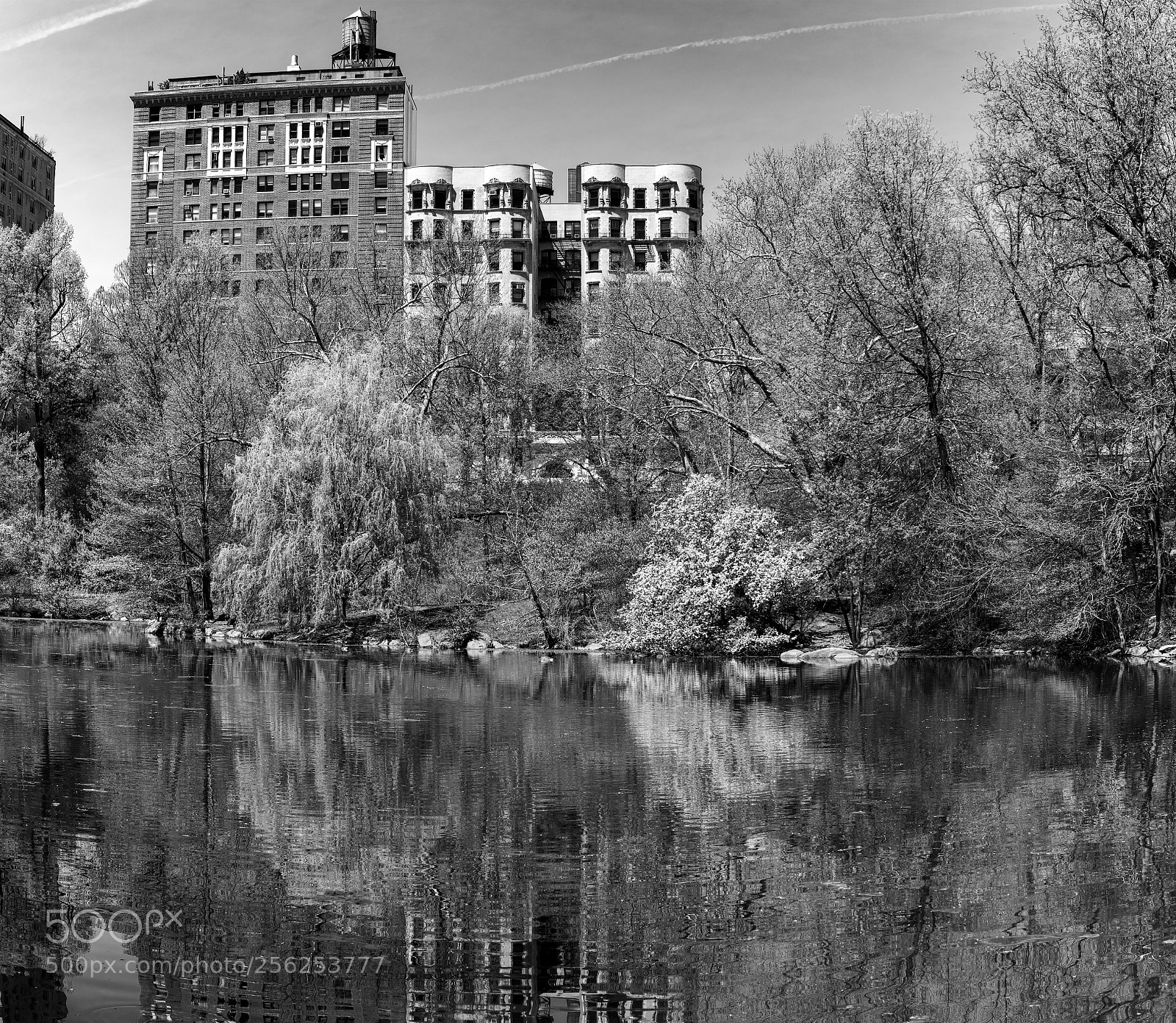 Sony a7R II sample photo. The 'pool' in early photography