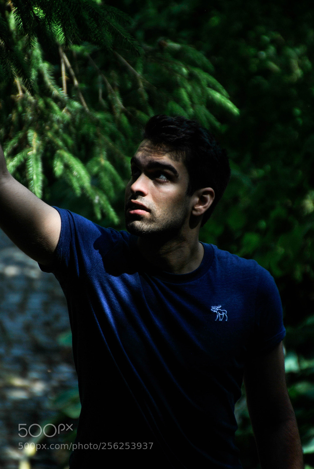 Nikon D3000 sample photo. Untitled photography