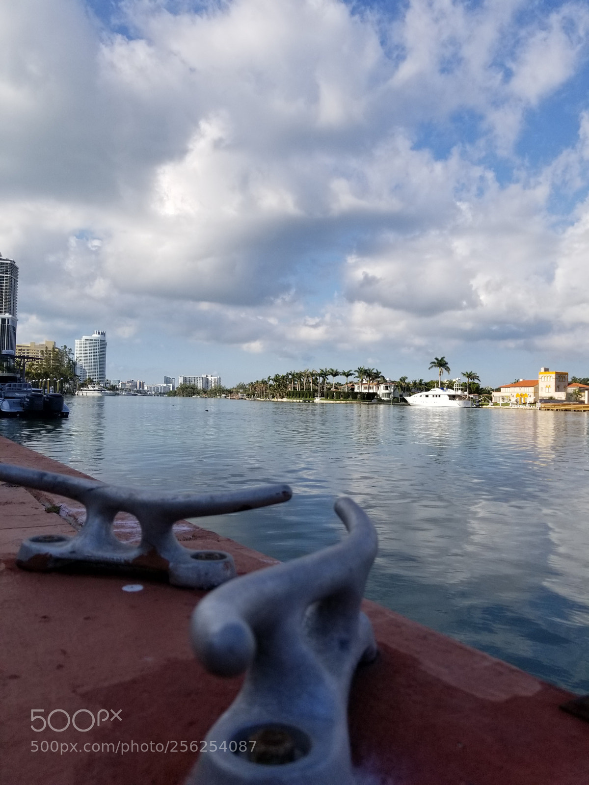 Samsung Galaxy S8+ sample photo. Untitled photography