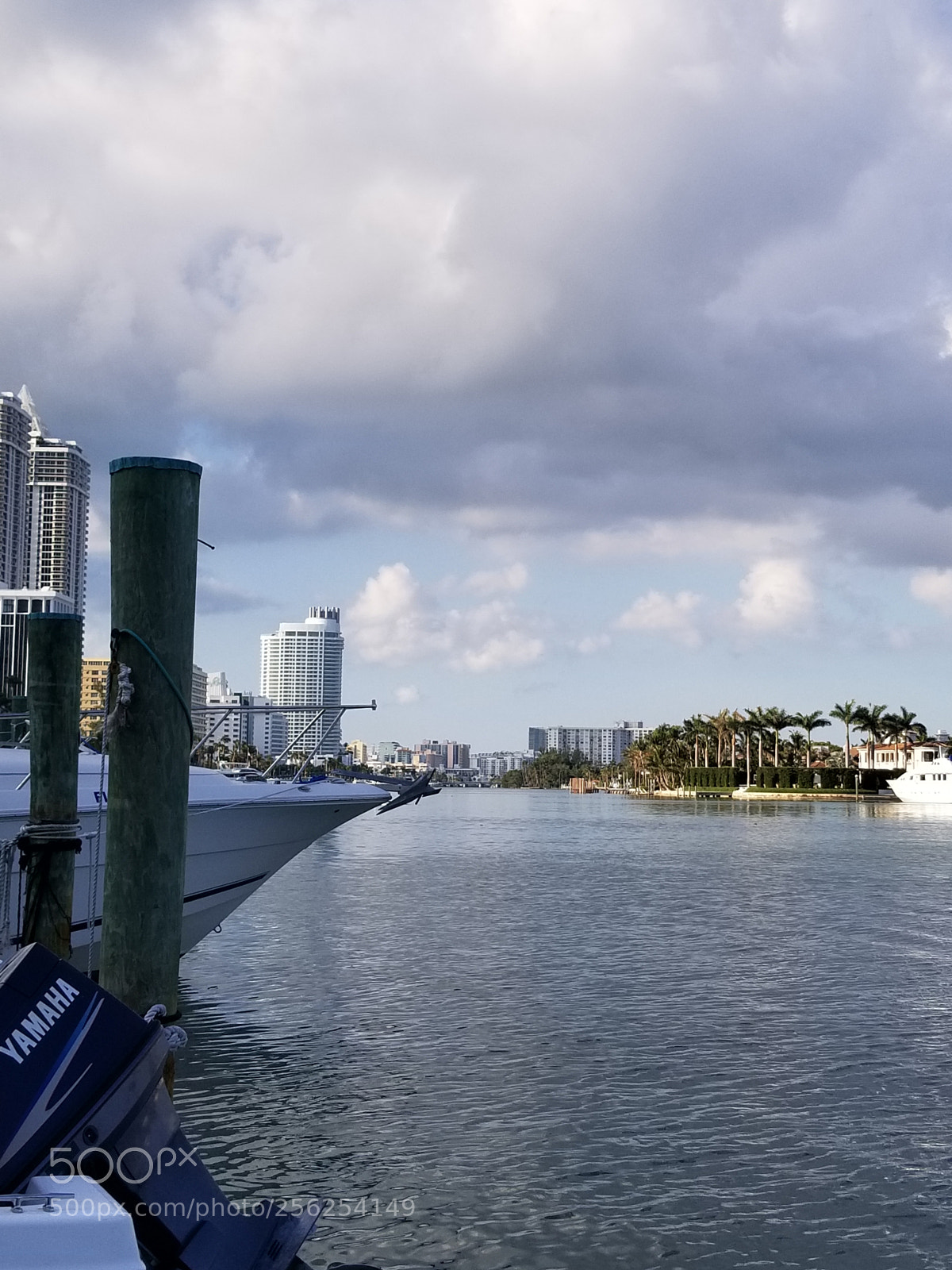 Samsung Galaxy S8+ sample photo. Untitled photography