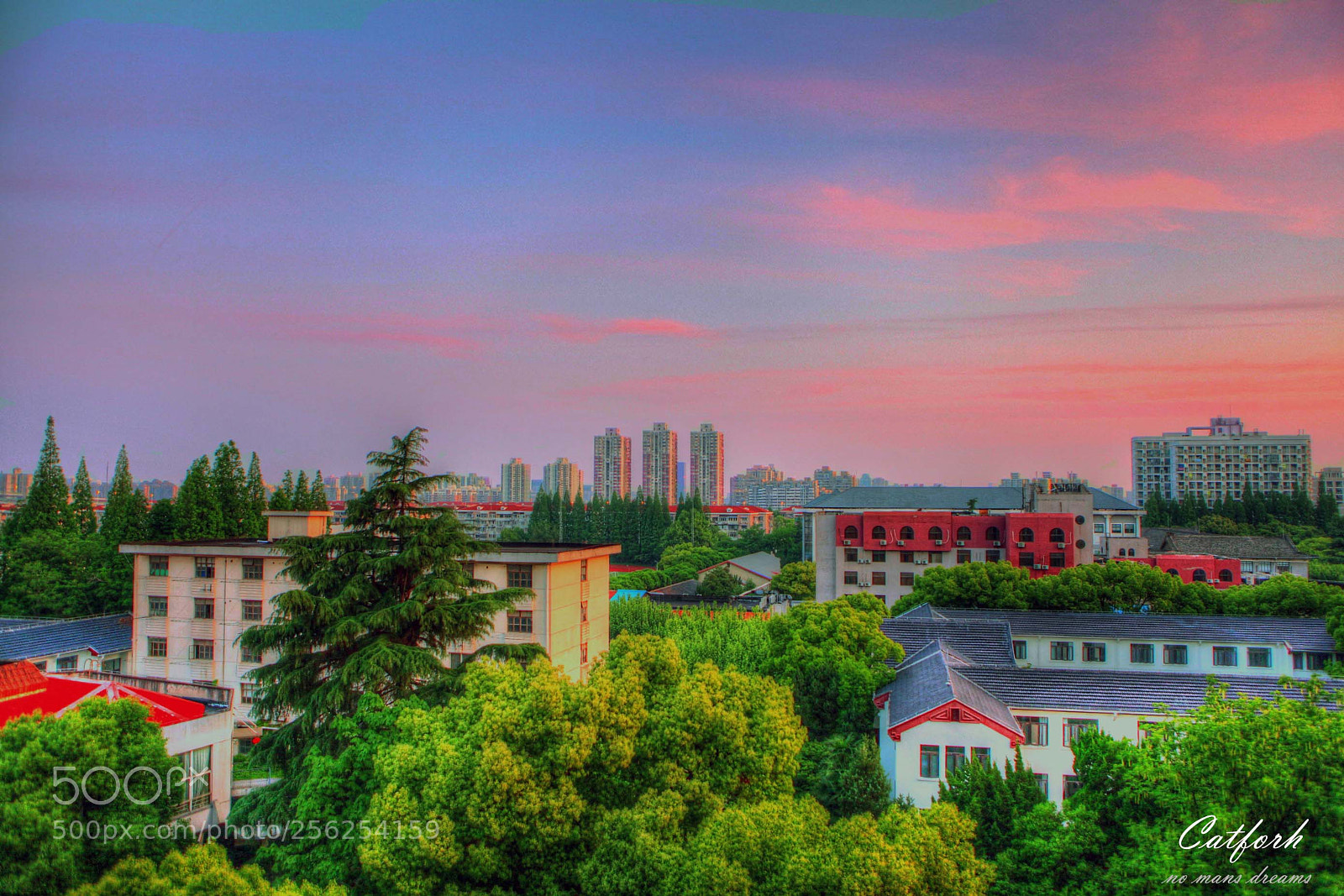 Canon EOS 5D Mark II sample photo. One fine morning photography