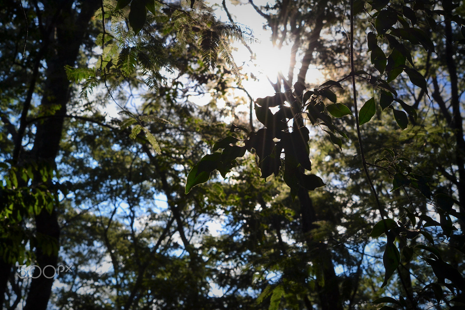 Nikon D3100 sample photo. :) photography