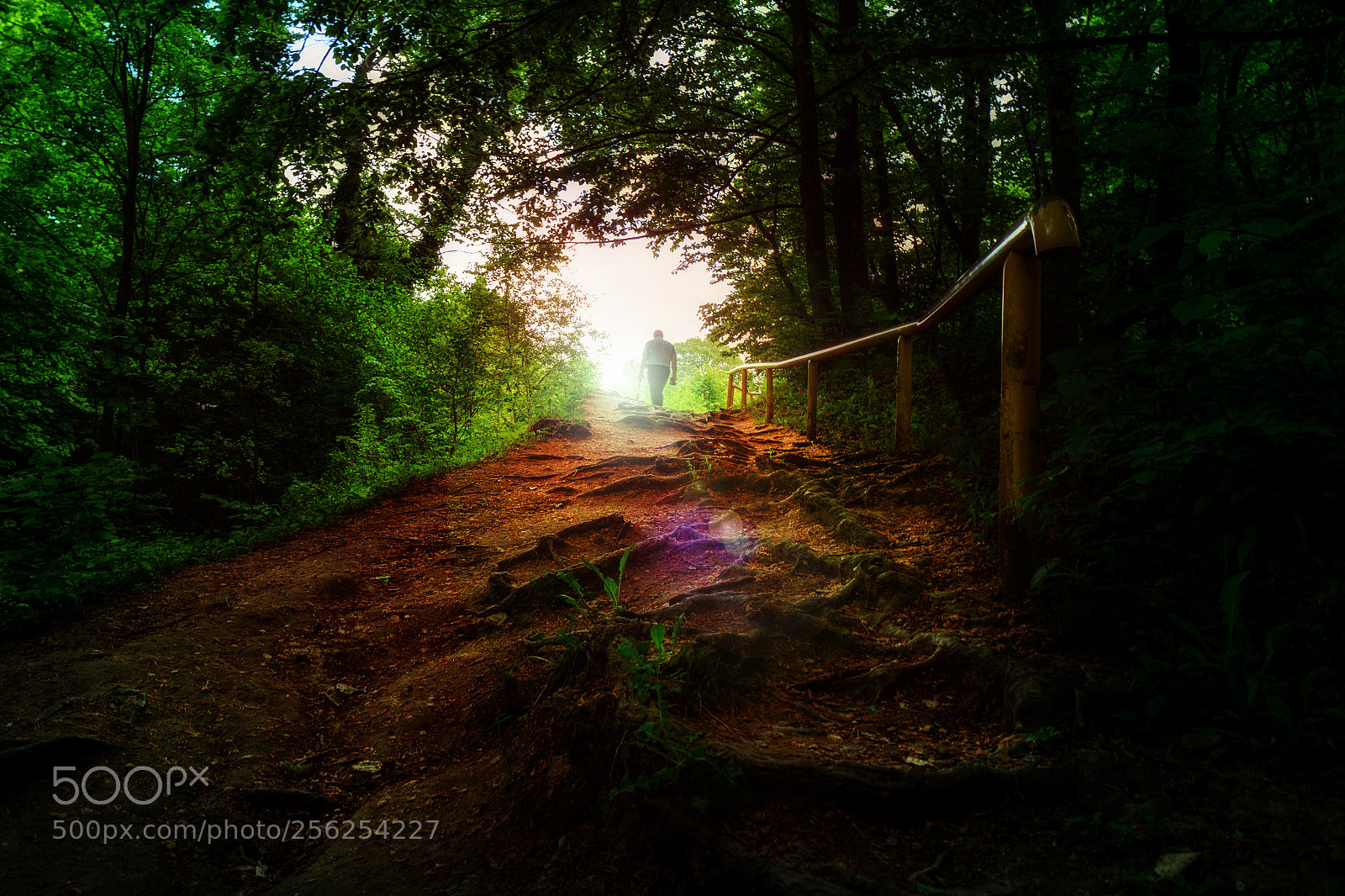 Canon EOS M sample photo. Stairway to heaven photography