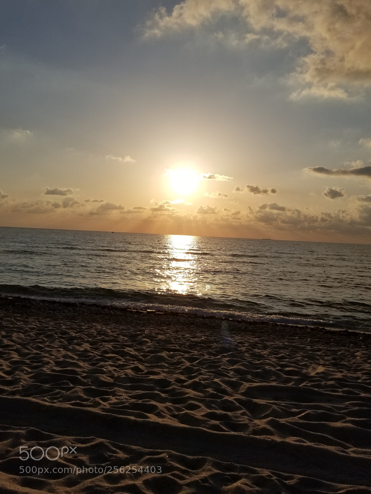 Samsung Galaxy S8+ sample photo. Untitled photography