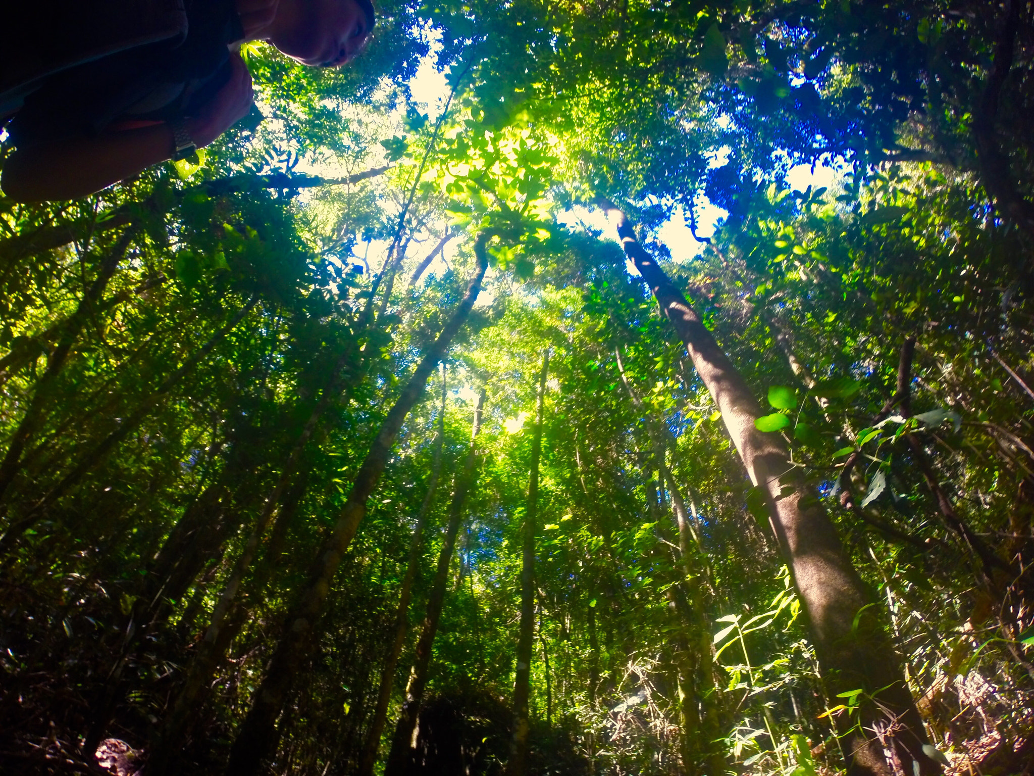 GoPro HERO3+ Black Edition sample photo. Natureza photography