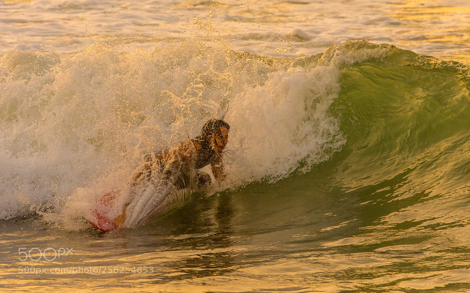 Nikon D500 sample photo. Splash with golden light photography