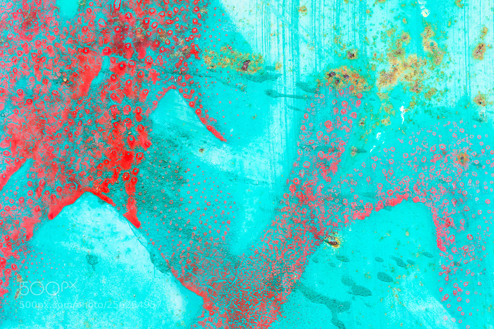 Canon EOS 7D Mark II sample photo. A dustbin abstract photography