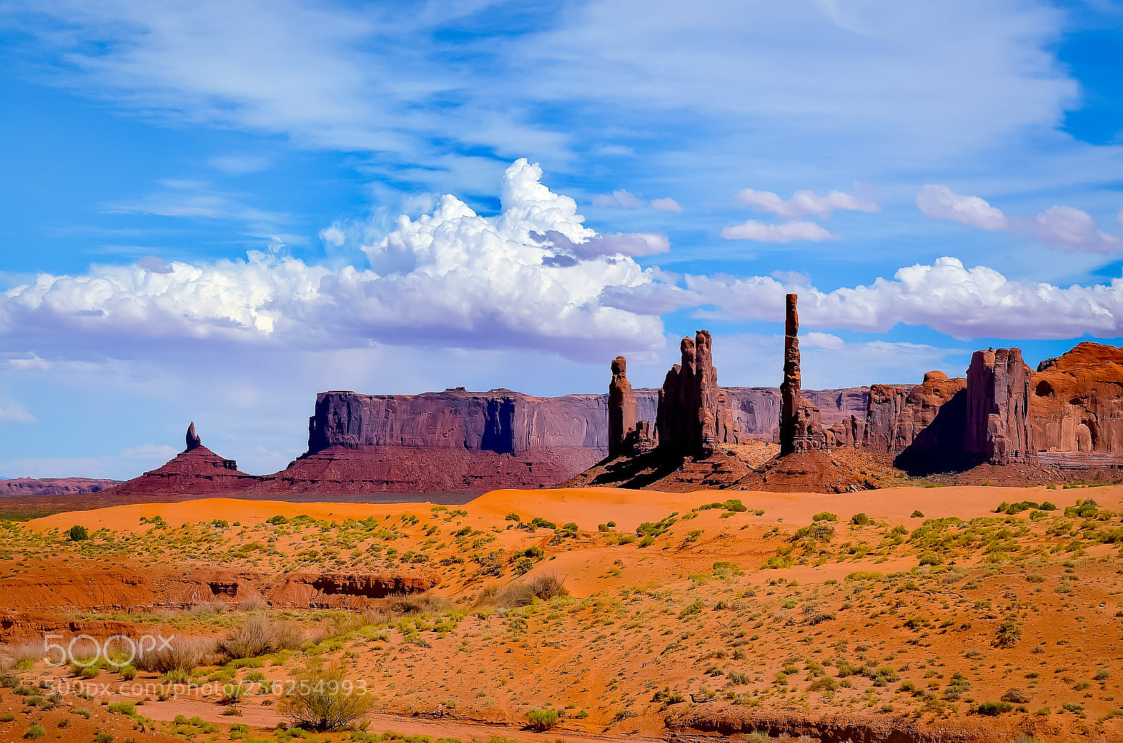 Nikon D5100 sample photo. Untitled photography