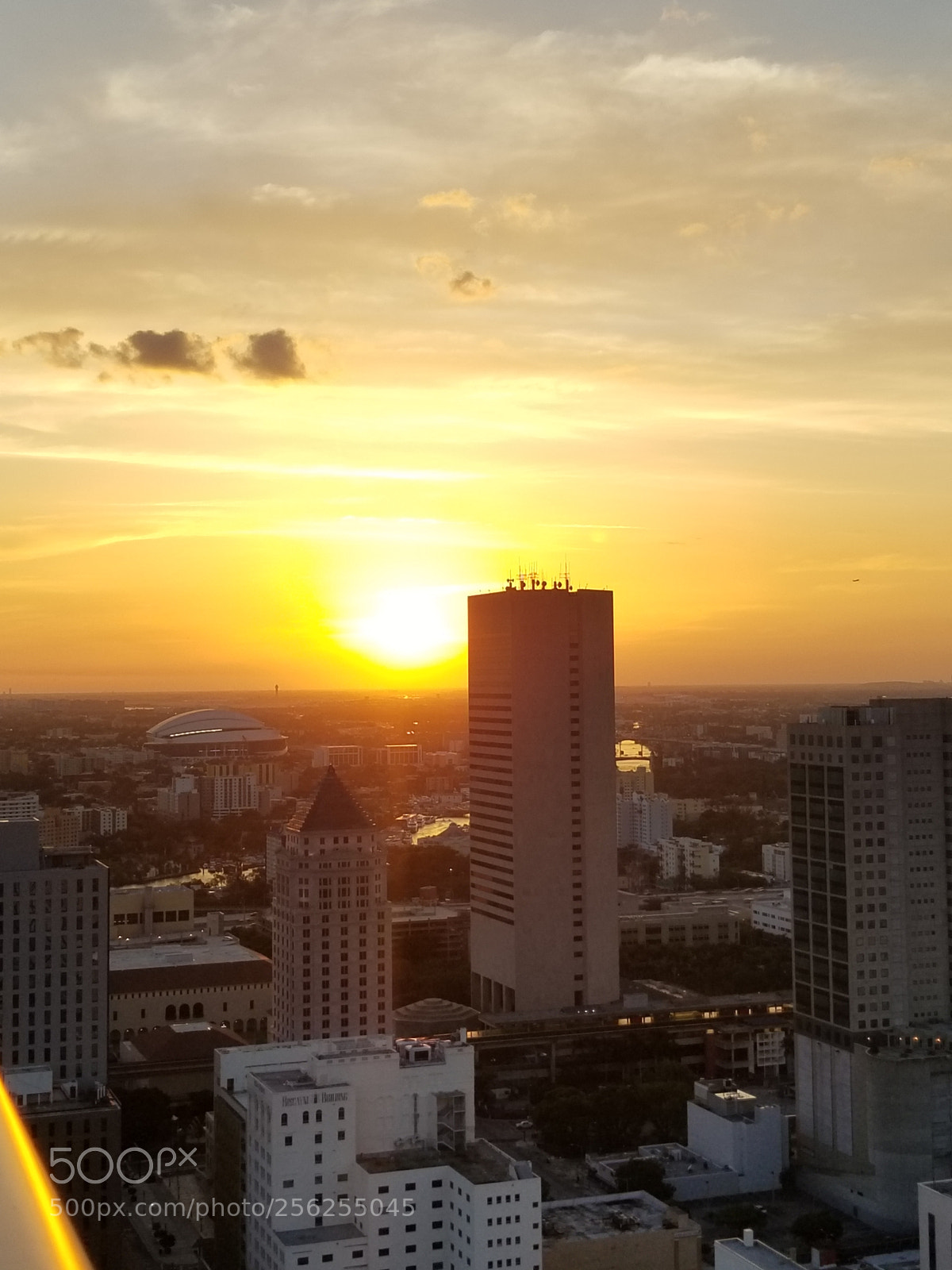 Samsung Galaxy S8+ sample photo. Untitled photography
