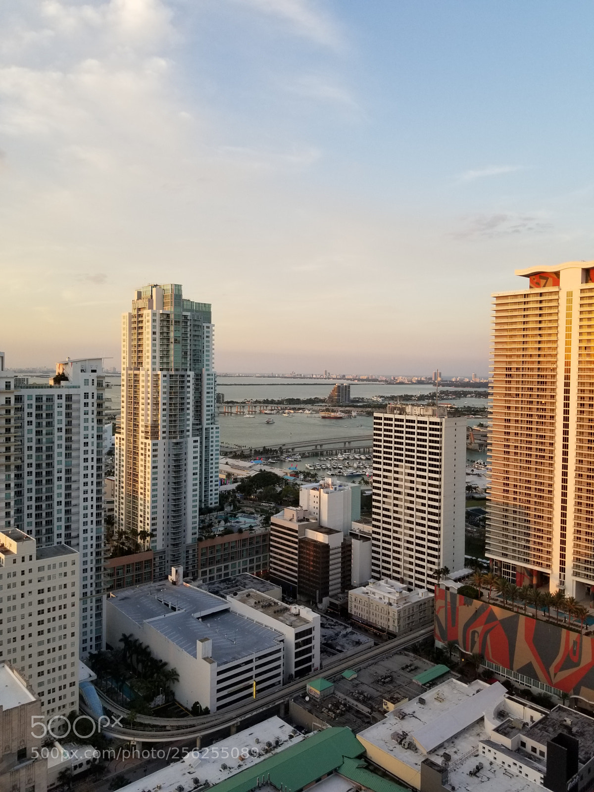 Samsung Galaxy S8+ sample photo. Untitled photography
