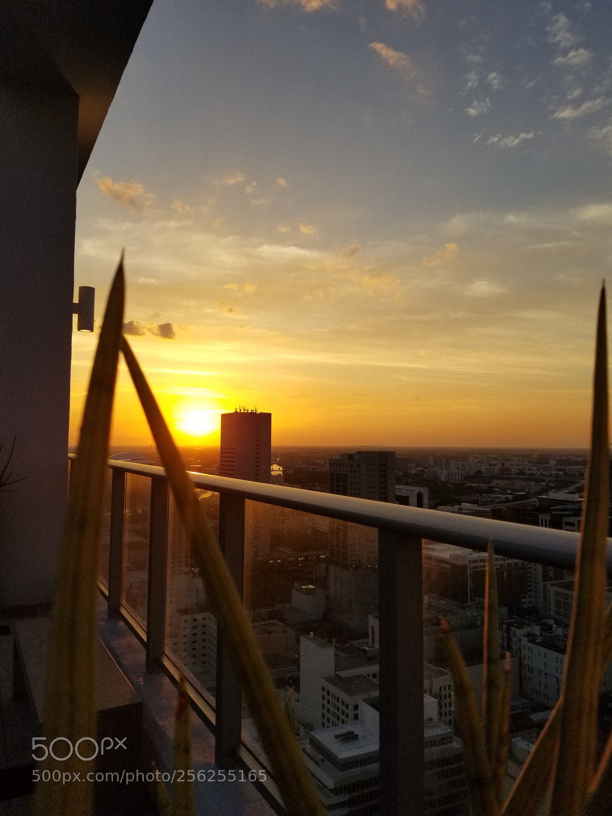 Samsung Galaxy S8+ sample photo. Untitled photography