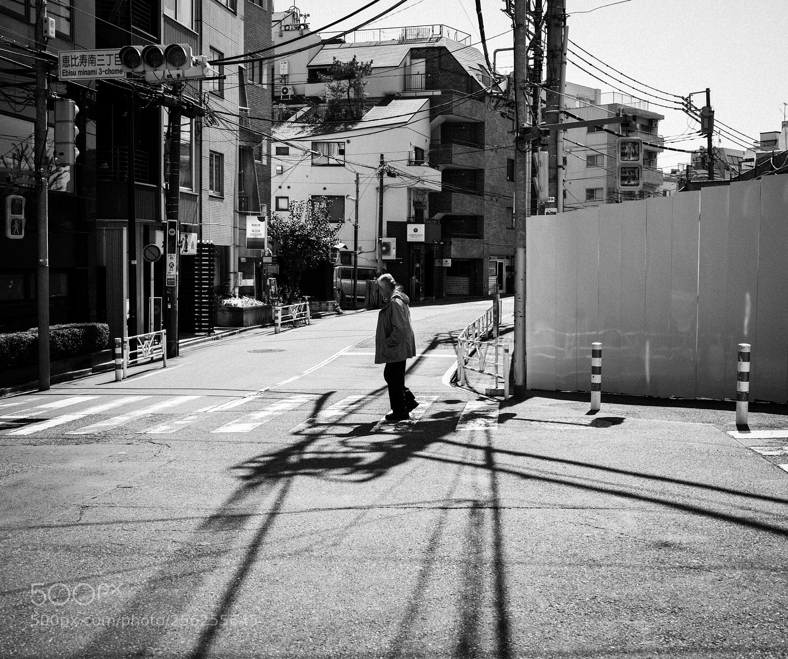 Hasselblad X1D-50c sample photo. Tokyo city photography
