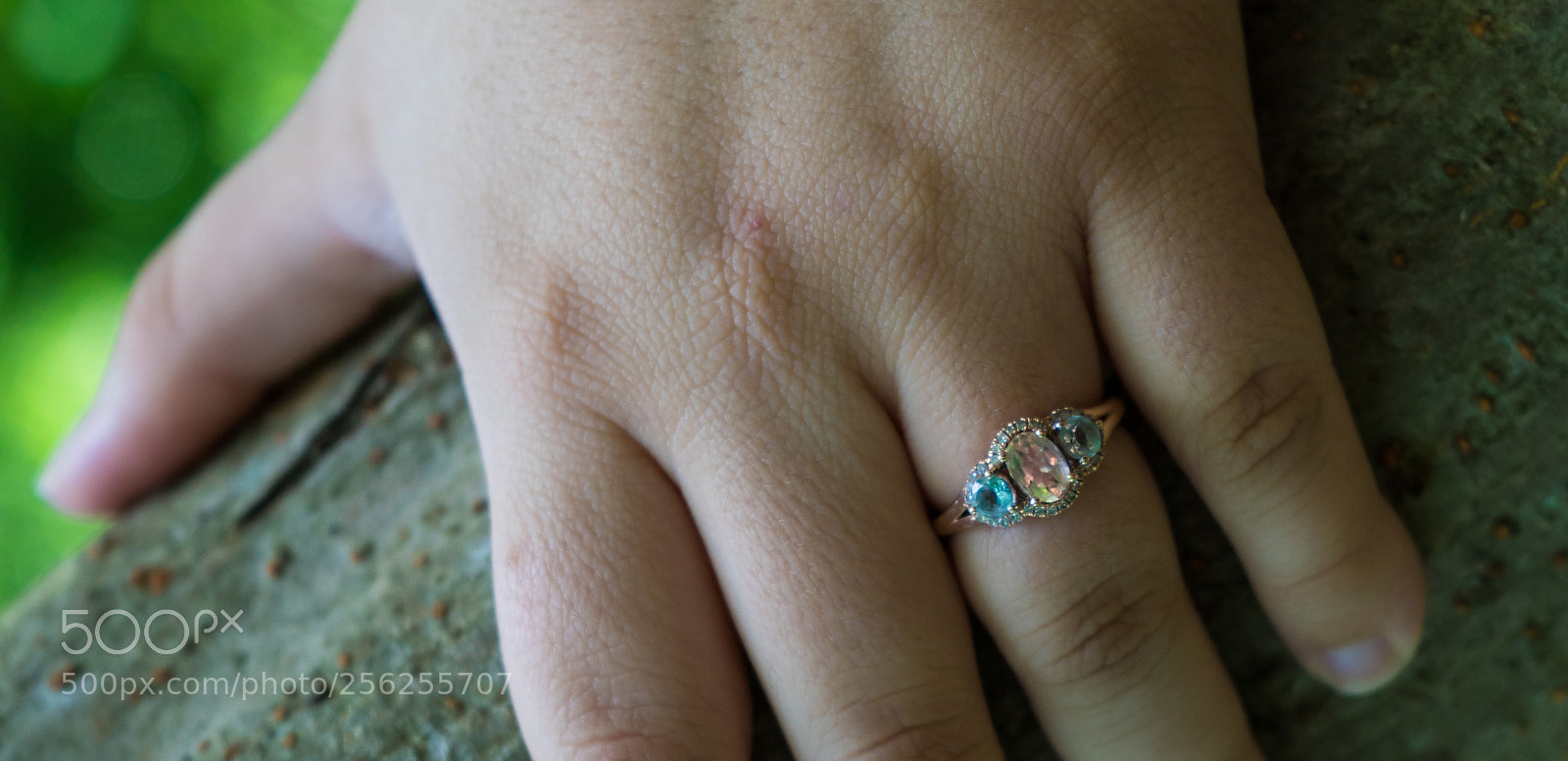 Sony a7 II sample photo. Ring photography