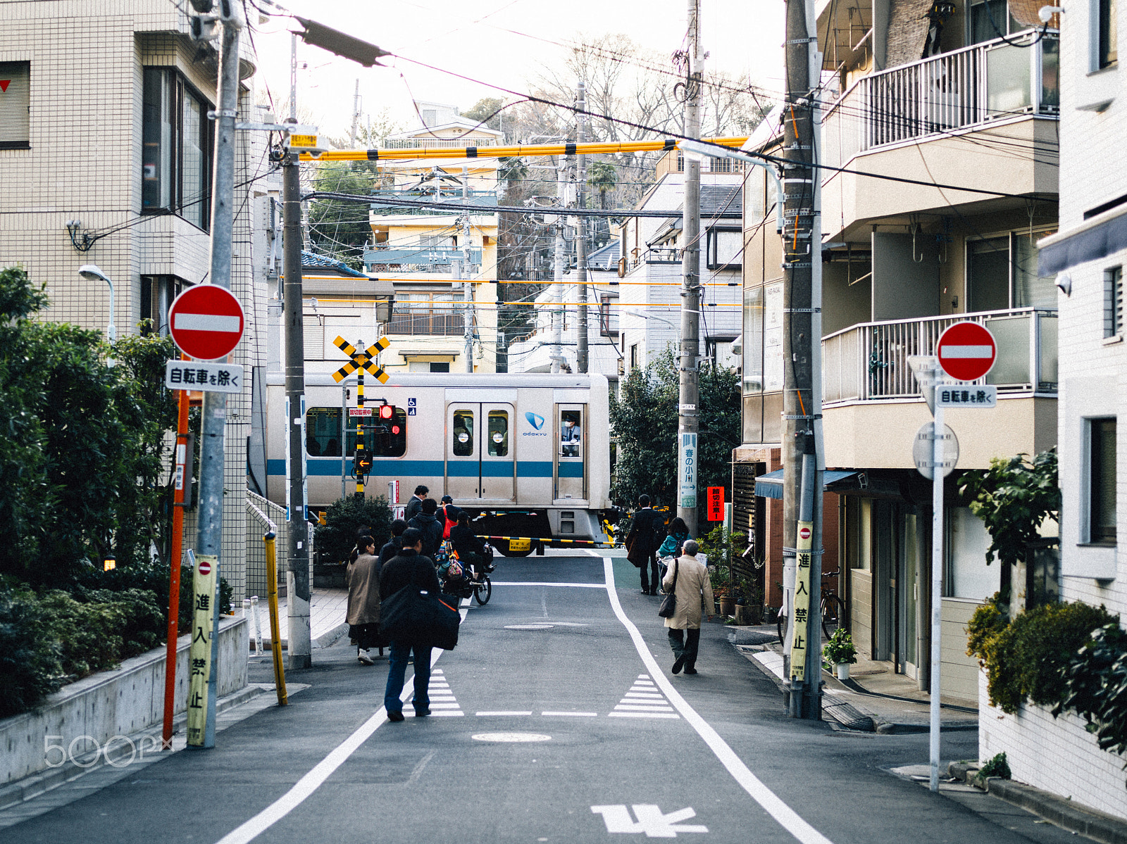Hasselblad X1D-50c sample photo. Tokyo city photography