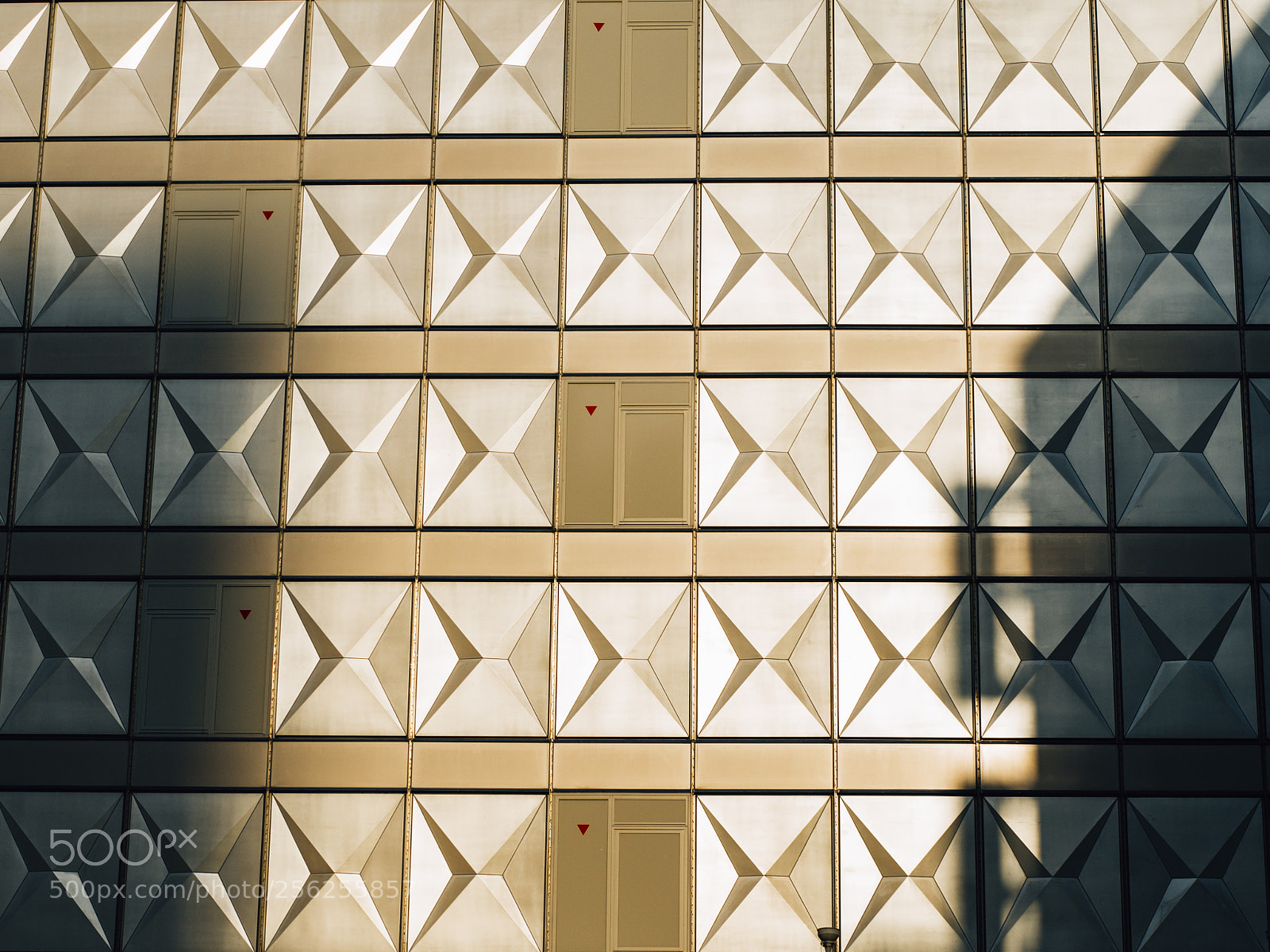 Hasselblad X1D-50c sample photo. Tokyo city photography