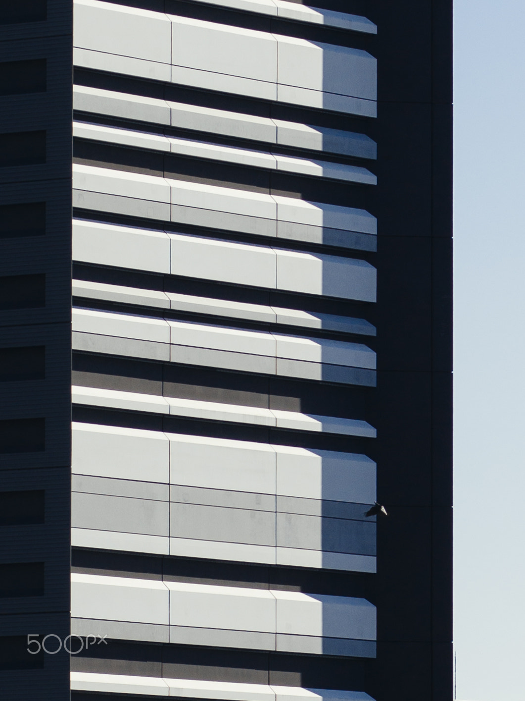 Hasselblad X1D-50c sample photo. Tokyo city photography