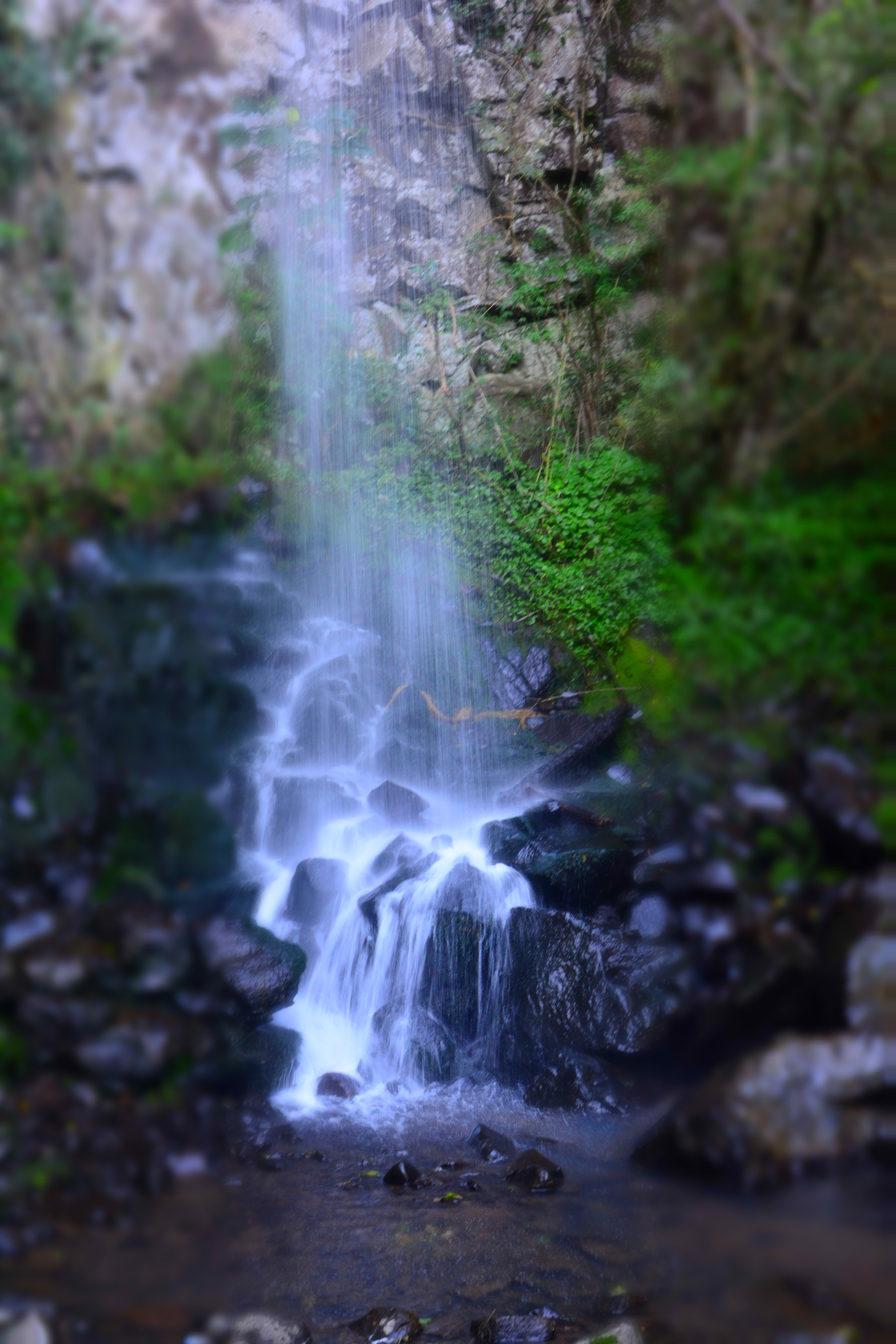 Nikon D7100 sample photo. Cacheira photography