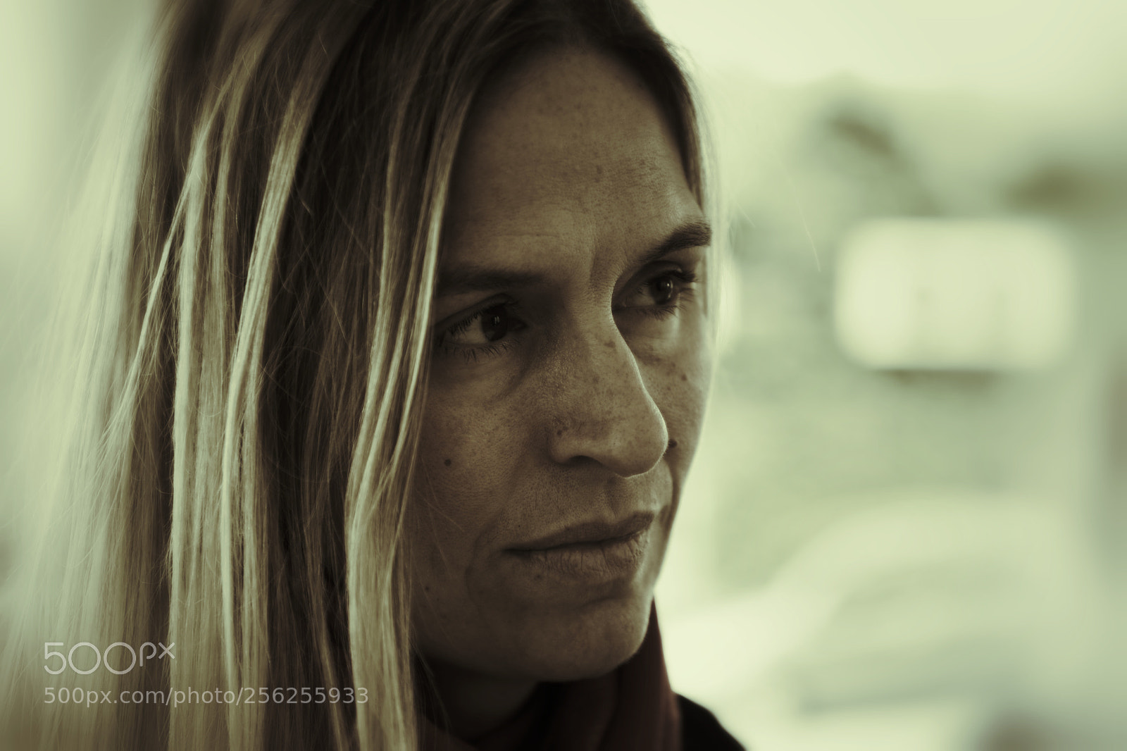 Canon EOS 5D Mark IV sample photo. Diamond in the rough photography
