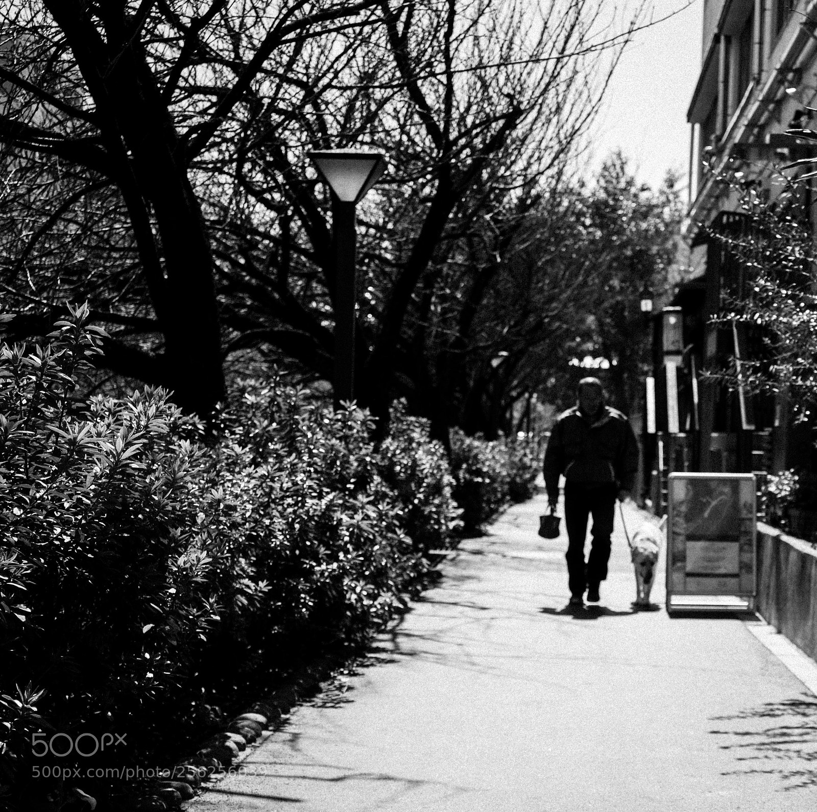Hasselblad X1D-50c sample photo. Tokyo city photography