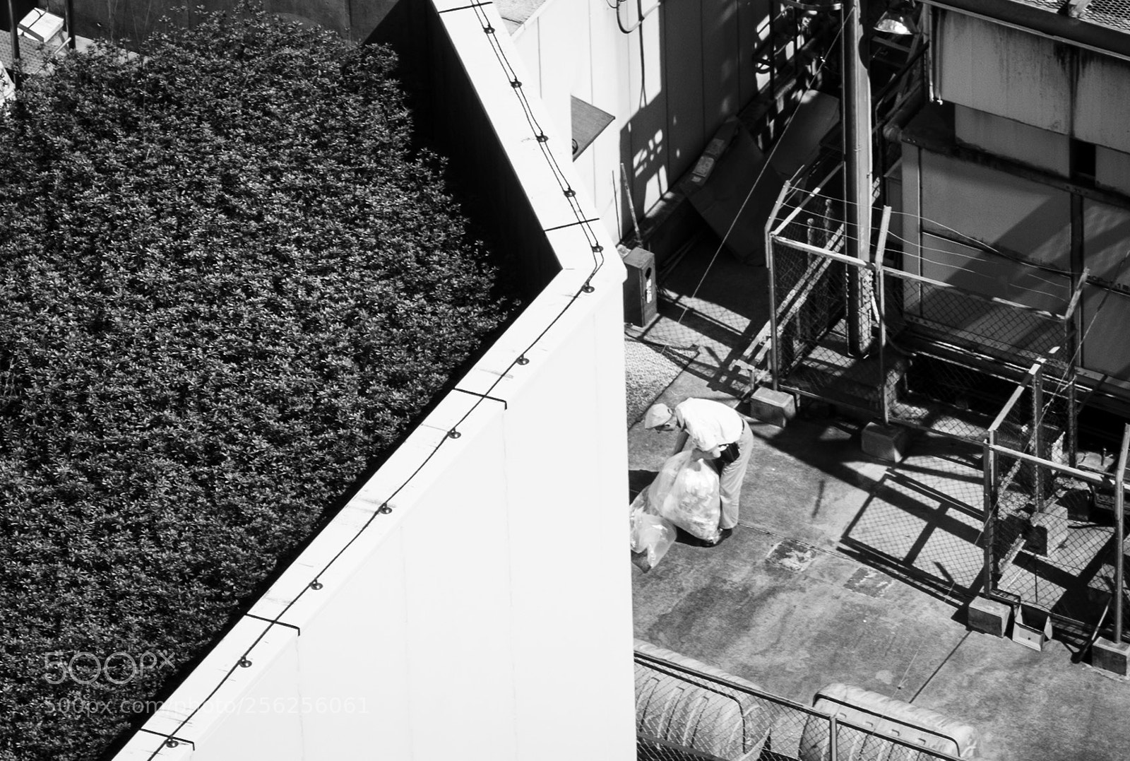 Hasselblad X1D-50c sample photo. Tokyo city photography
