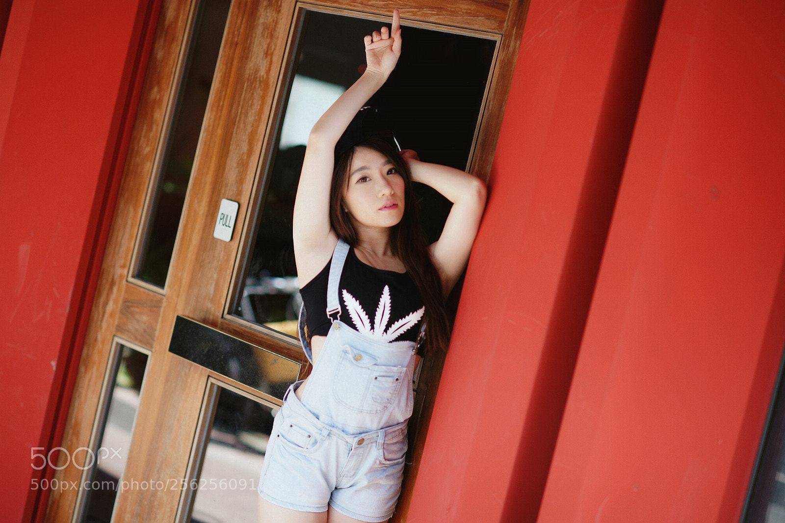 Sony Alpha DSLR-A850 sample photo. 芬 photography