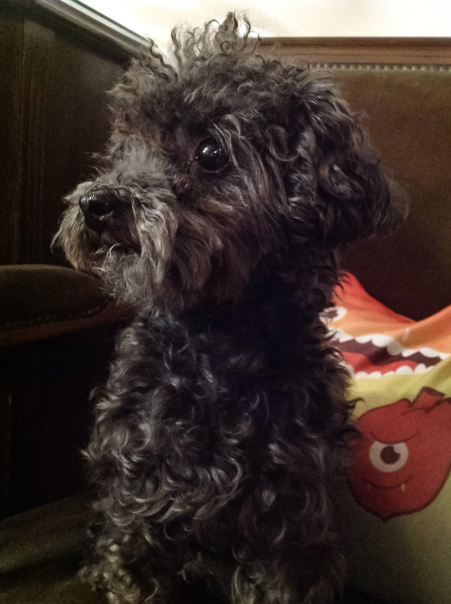 Apple iPad sample photo. Serio. photography