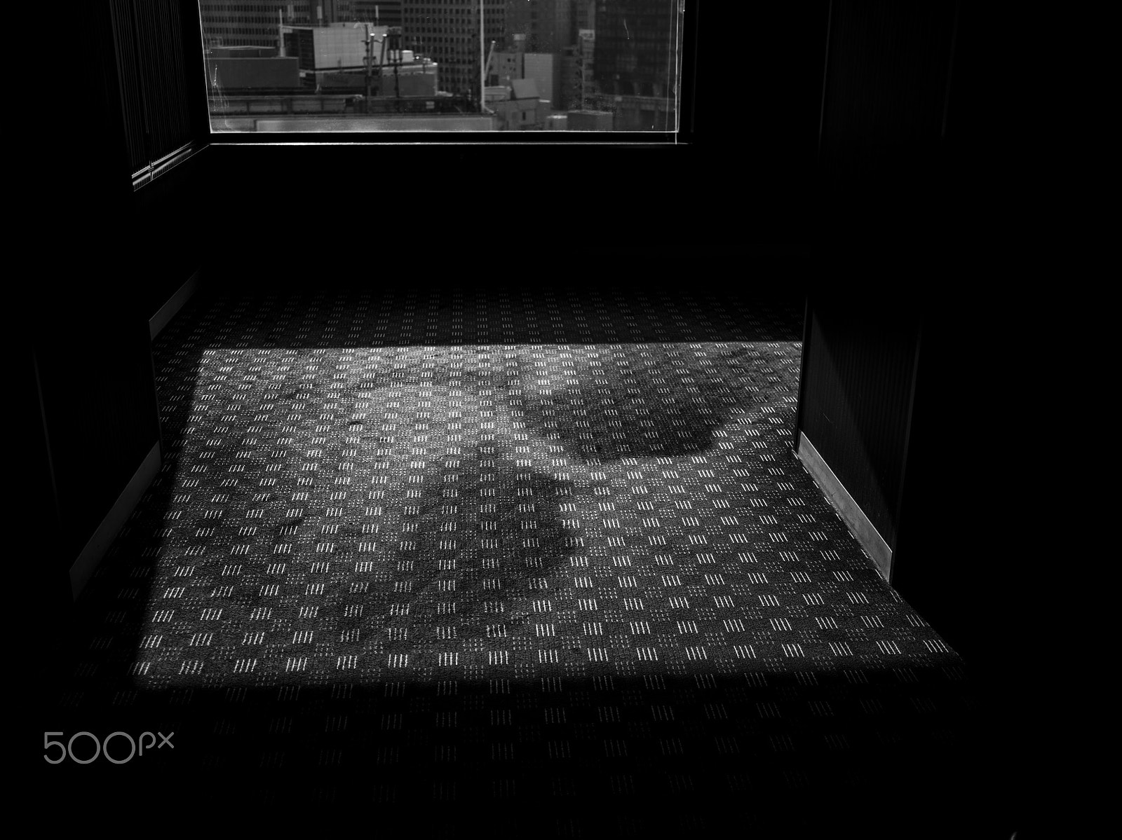 Hasselblad X1D-50c sample photo. Tokyo city photography