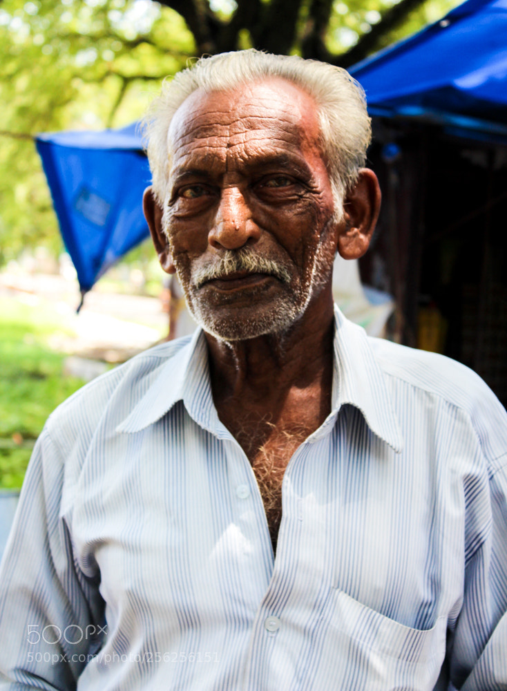 Canon EOS 650D (EOS Rebel T4i / EOS Kiss X6i) sample photo. Merchant man at kerala, 2015 photography