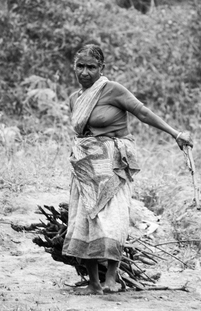 Canon EOS 650D (EOS Rebel T4i / EOS Kiss X6i) sample photo. Strongness, india, 2015 photography