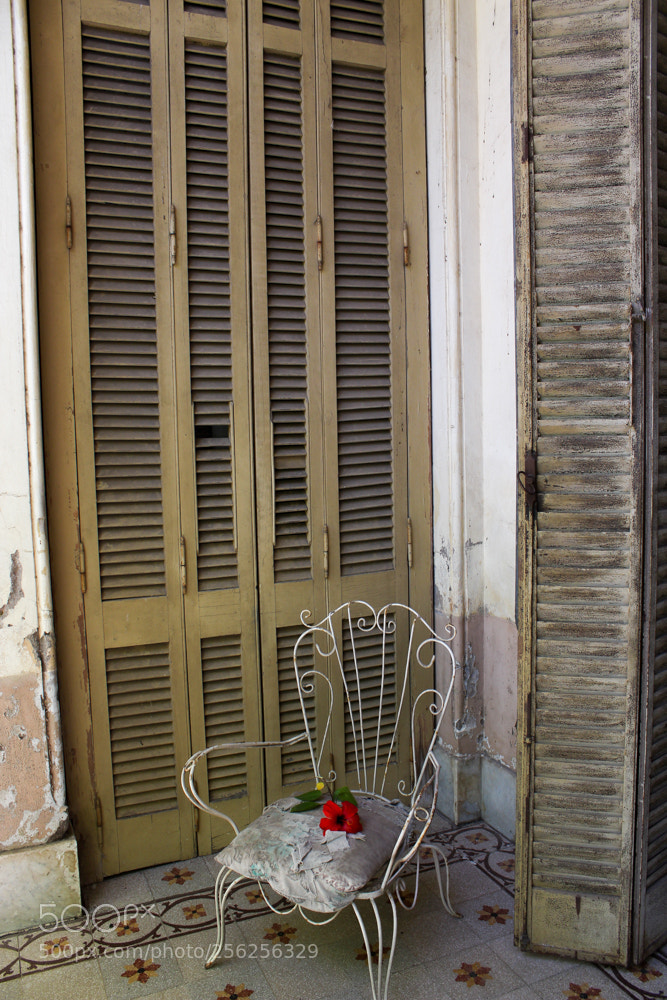 Canon EOS 650D (EOS Rebel T4i / EOS Kiss X6i) sample photo. Lonely rose photography